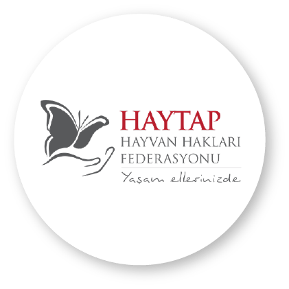 HAYTAP | Mükyen Law